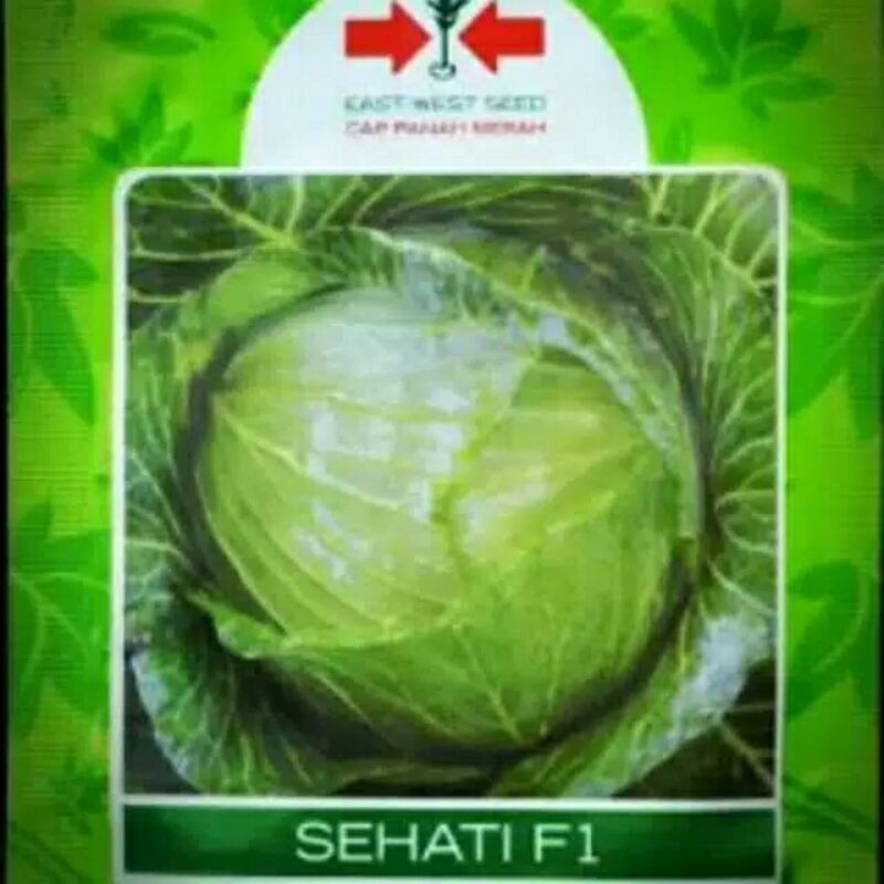 Jual Benih Kubis Sehati F1 isi 400 biji cap Panah Merah® | Shopee Indonesia