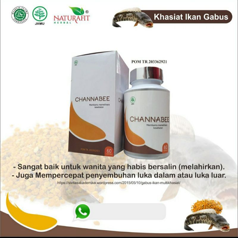 Jual CHANNA B POLLEN KAPSUL KUTUK | Shopee Indonesia