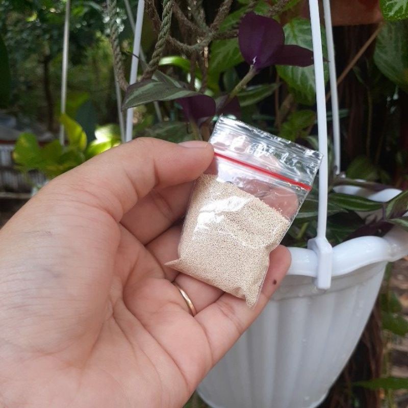 Jual Fermipan Ragi Instan Pakmaya kemasan 5g | Shopee Indonesia