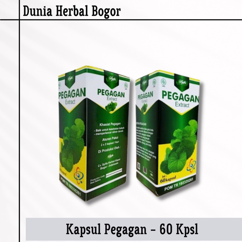 Jual Kapsu Pegagan Ekstrak Kapsul Nutrisi Otak Sirkulasi Bersih Darah Extract Daun