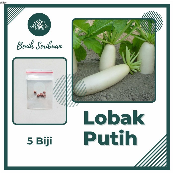 Jual 5 Benih Lobak Putih F1 Hibrida Ming Ho Bibit Sayur Sayuran Unggul