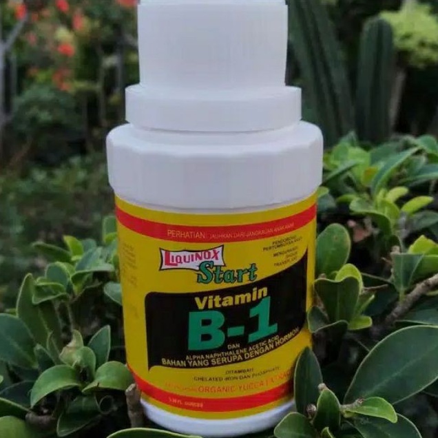 Jual Vitamin B1 Tanaman Pupuk Liquinox 100 Ml Pupuk Anti Stres Tanaman ...