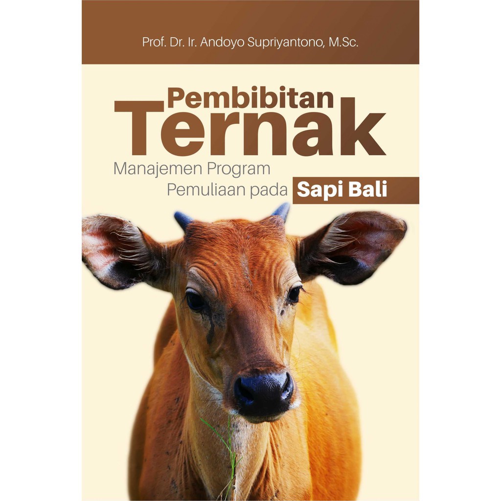 Jual Buku Pembibitan Ternak Manajemen Program Pemuliaan Pada Sapi Bali ...