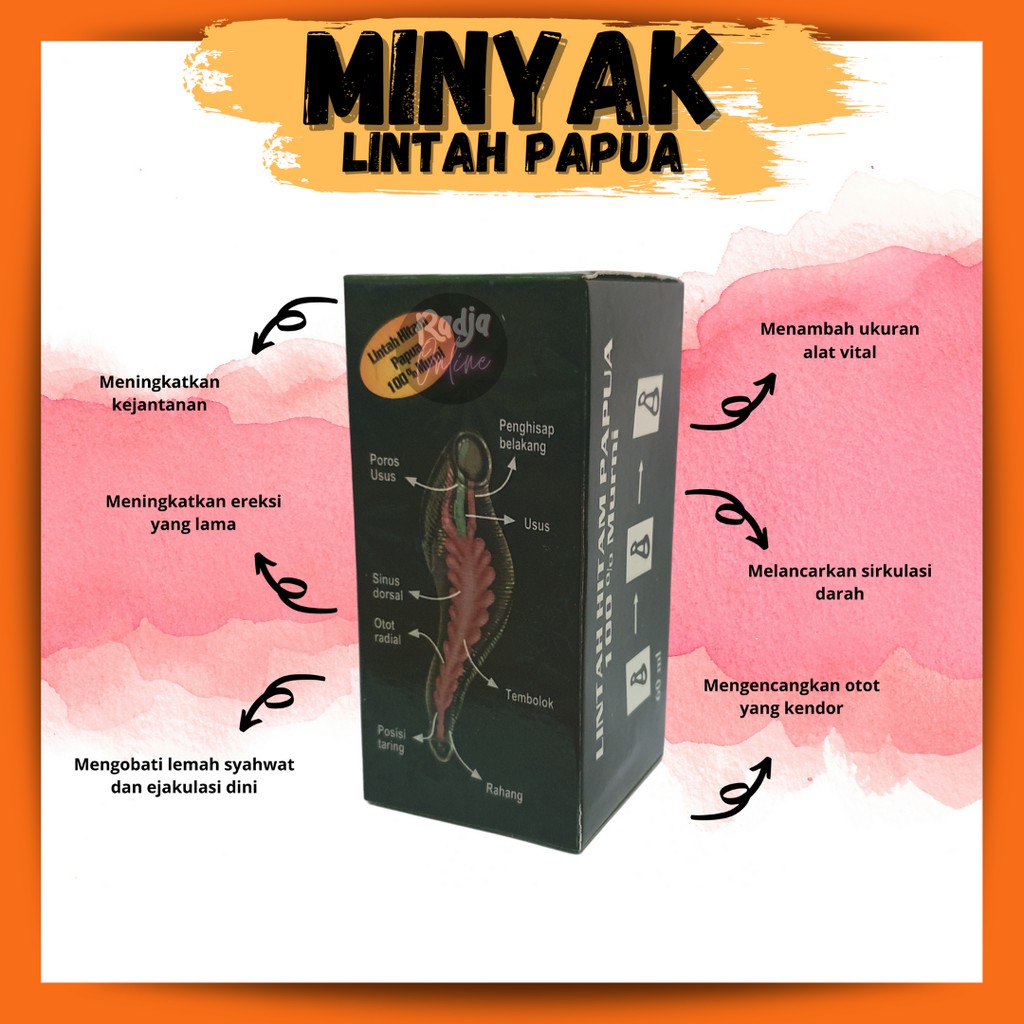 Jual Minyak Lintah Hitam Asli Papua Original Obat Oles Kuat Pembesar