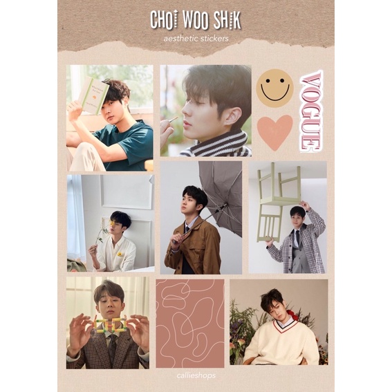 Jual AESTHETIC STICKER CHOI WOO SHIK | Shopee Indonesia