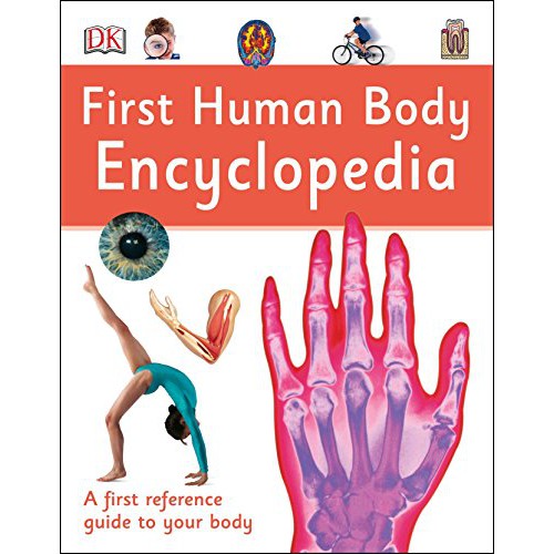 thumbnail image 2 of DK First Human Body Encyclopedia - Hardcover (Very Good Condition) 9780756609979 2 of 4