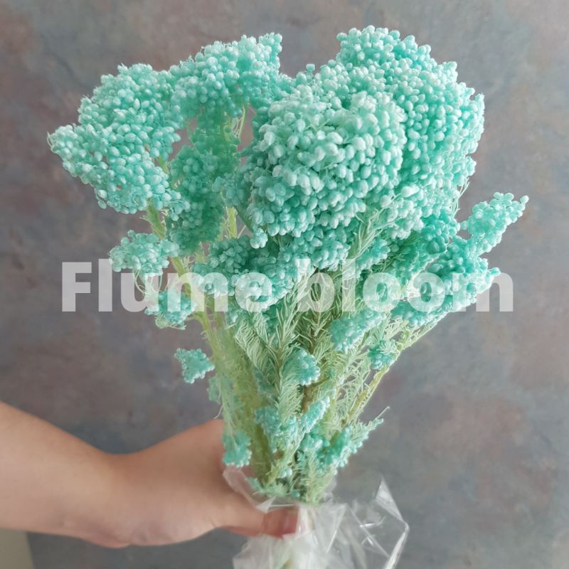 Jual Rice Flower 1(Bunch) | Shopee Indonesia