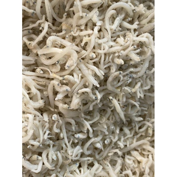 Jual teri medan / teri putih / ikan teri medan / ikan teri / teri kecil