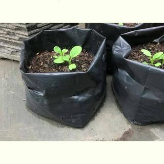 Jual INFARM - Polibag Tanaman Polybag Ecer Berbagai Ukuran Warna Hitam ...