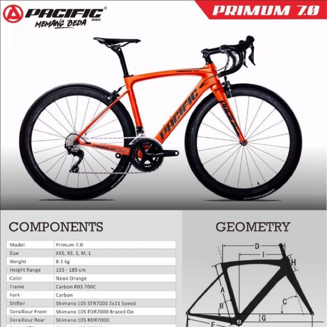 Pacific store bike carbon