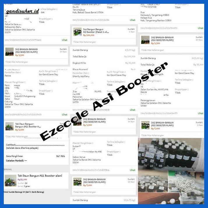 Jual Asi Booster Jus Bangun Bangun With Lemon Asi Booster Alami Penambah Asi Shopee Indonesia 0906