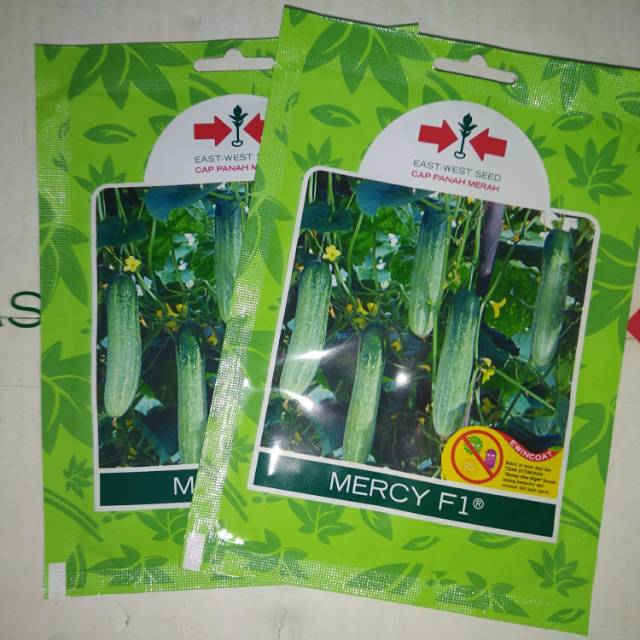 Jual Benih Timun MERCY F1 isi 175 biji | Shopee Indonesia