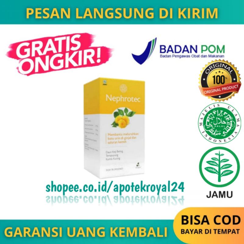 Jual NEPHROTEC Obat Batu Ginjal Kandung Kemih Herbal 100% Asli Original ...