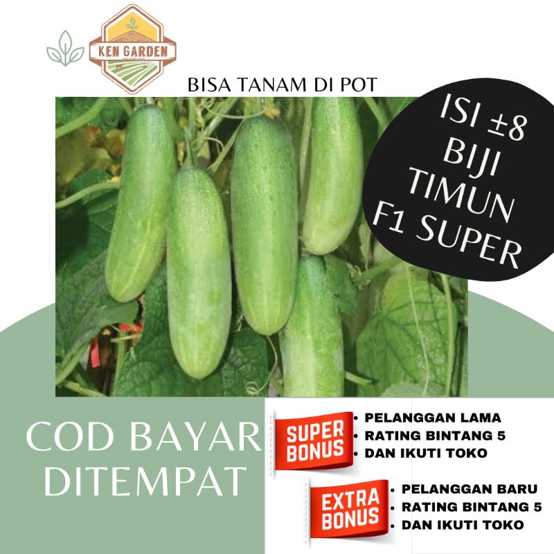 Jual Bibit Sayuran Benih Sayur Paket Lengkap Tanaman Hidroponik Sawi