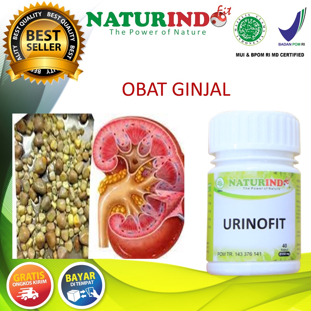 Jual Obat Ginjal Batu Ginjal Sakit Pinggang Melancarkan Susah Buang Air ...