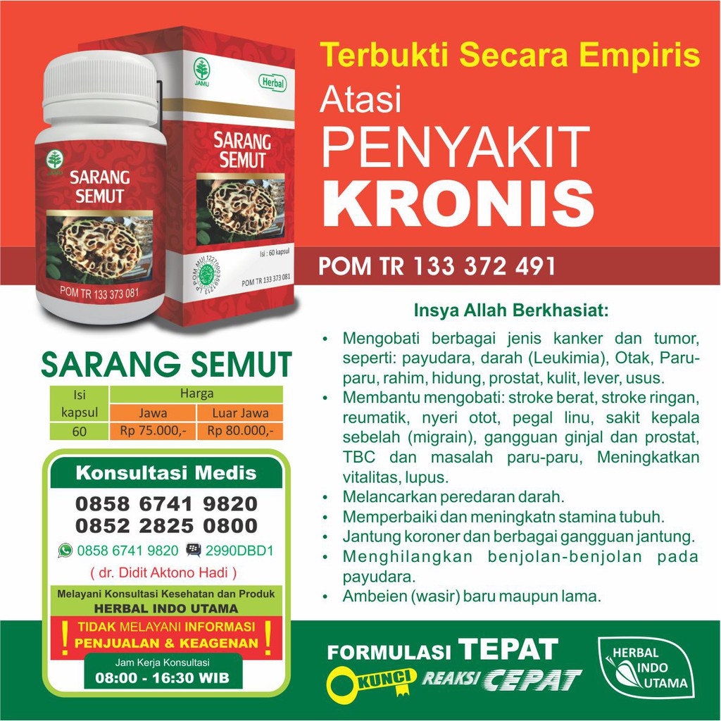 Jual Kapsul Ekstrak Sarang Semut Obat Herbal Tumor Kanker Ganas HIU