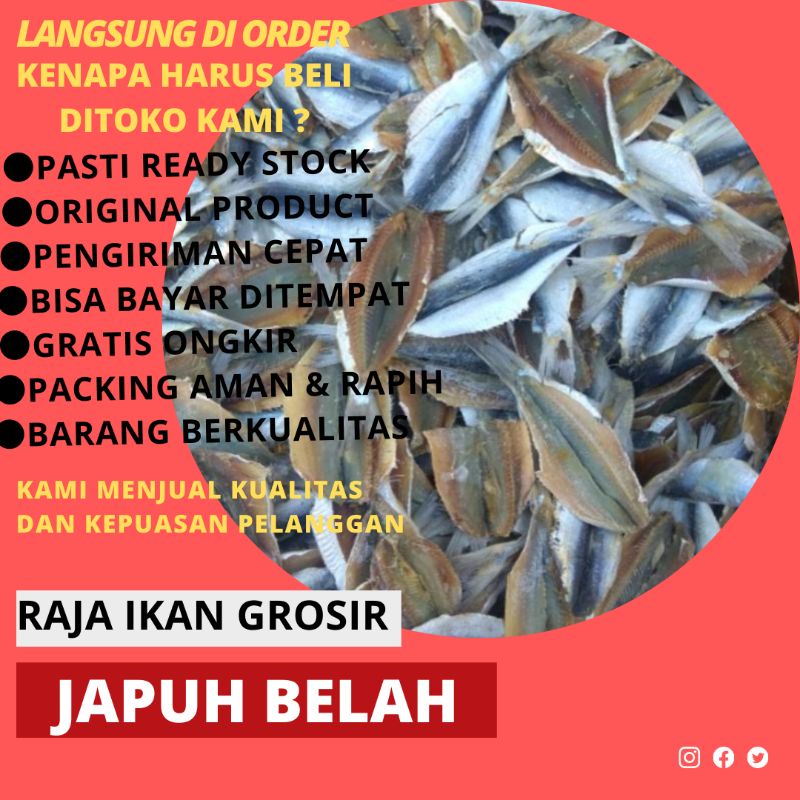Jual IKAN ASIN JAPUH DENDENG 100 GRAM | Shopee Indonesia