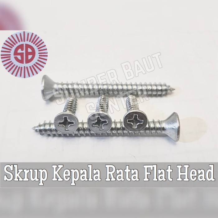Jual FH 6x2 Tapping Screw isi 100 - Skrup Kepala Rata 6 x 2 | Shopee ...