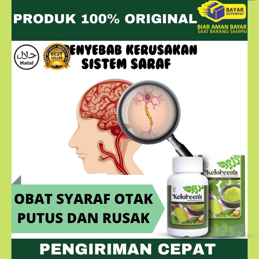 Jual Obat Saraf Otak Putus dan bermasalah, Sering Lupa, Obat Epilepsi ...
