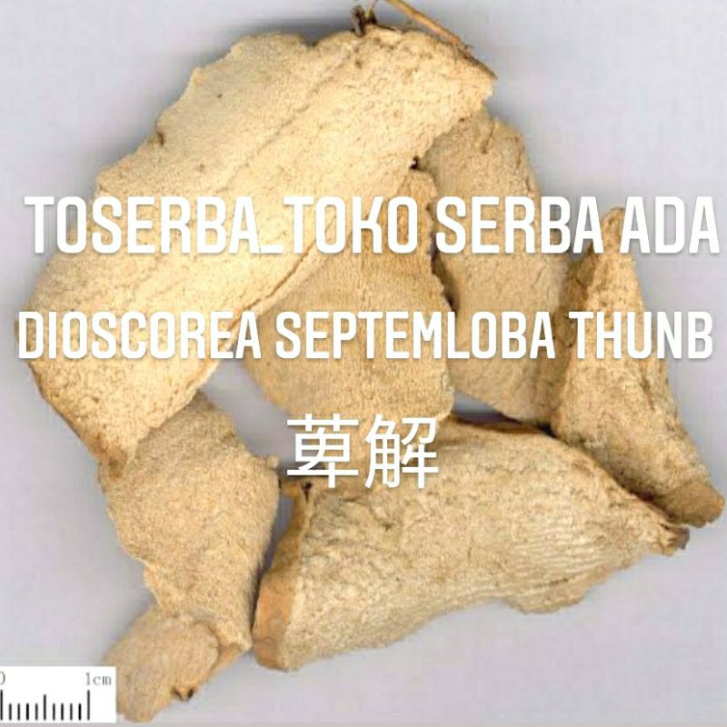 Jual 100gr herbal chuan bi xie chuan tai pian premium grade yam rhizome ...