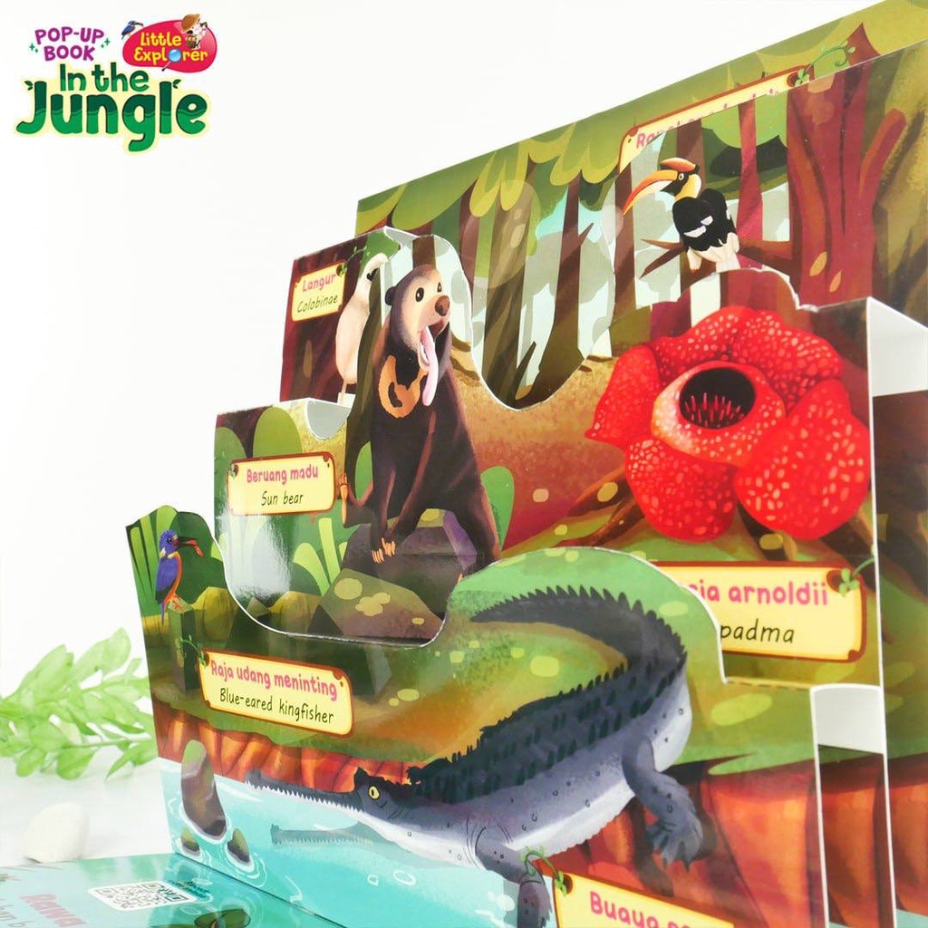 Jual Pop Up Book Little Explore In The Jungle Ziyad | Shopee Indonesia