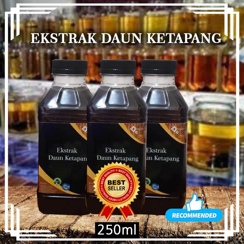 Jual Ekstrak Daun Ketapang Premium Extrak Untuk Ikan Cupang Guppy