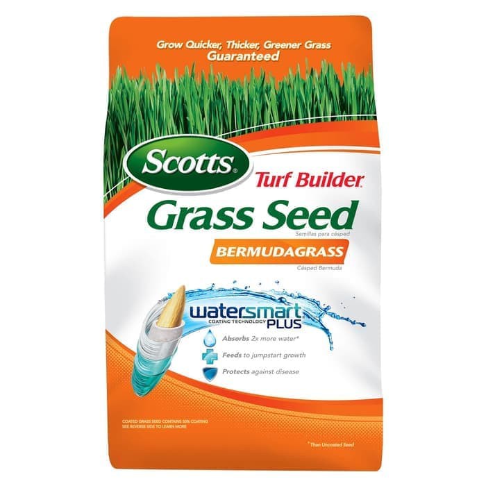 Jual Benih Rumput Bermuda Grass Bermuda Grass Scott Kg Shopee Indonesia