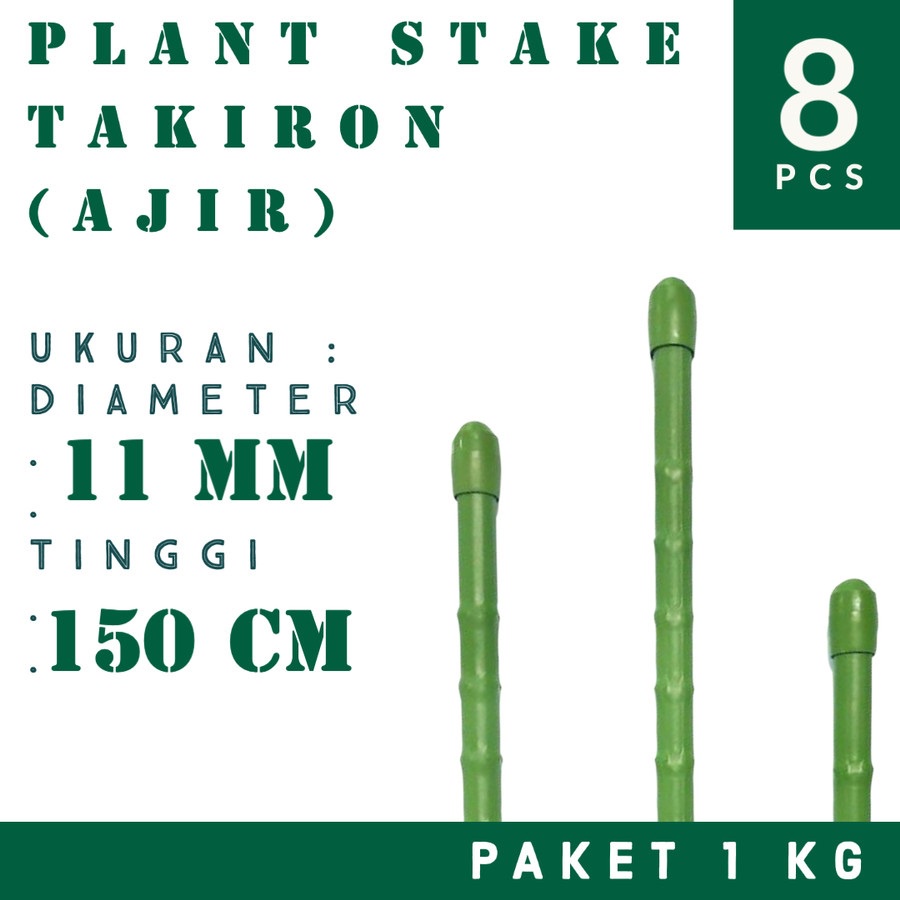 Coloreria Italiana Corderie Italiane 6005087-00 Braid élastique 8