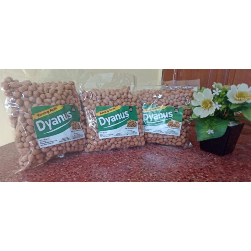 Jual Kacang Atom Kacang Telor Dyanus Shopee Indonesia