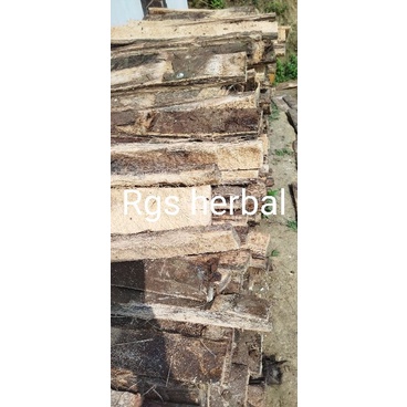 Jual Kayu Ruyung pohon aren ki. jiung kayu keras per batang | Shopee ...