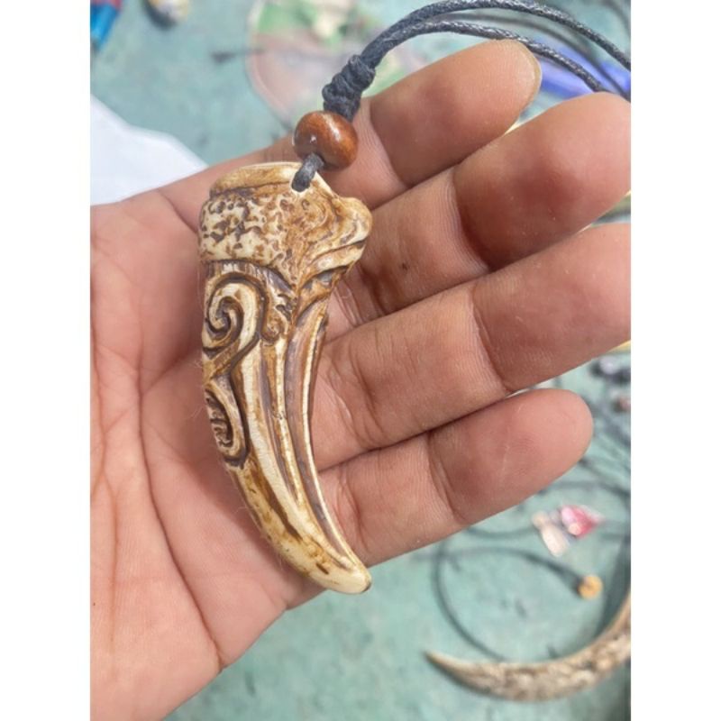 Jual Kalung Etnik Bandul Taring Macan Harimau Ukir Dayak Kalimantan ...