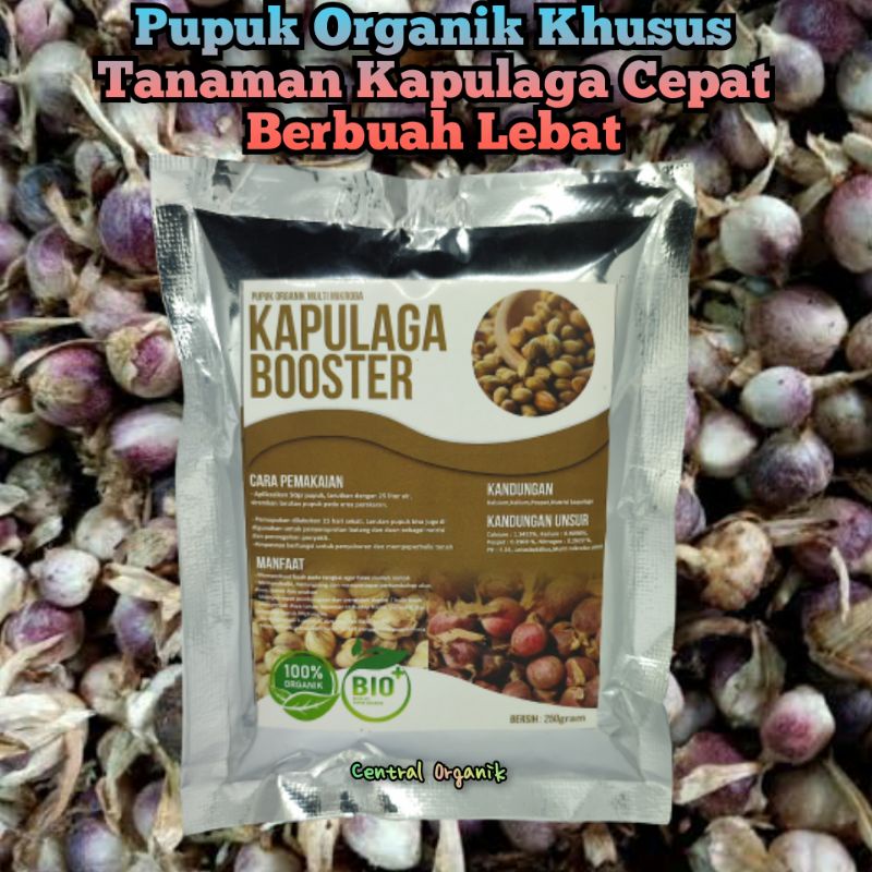 Pupuk Organik Kapulaga Pupuk Cepat Lebat Kapulaga Pupuk Khusus Tanaman Kapulaga Pupuk Kapulaga Cepat Besar Pupuk Penyubur Kapulaga