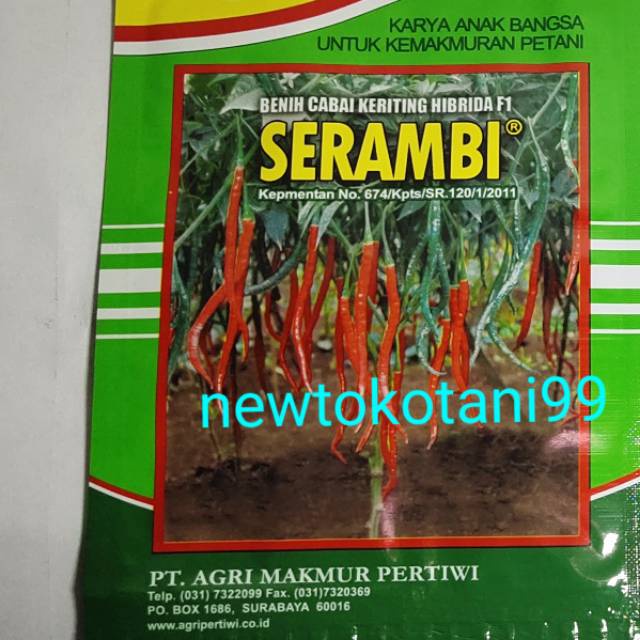 Jual Benih Cabai Keriting Hibrida Serambi F1 10 Gram Cabe Kriting Cmk