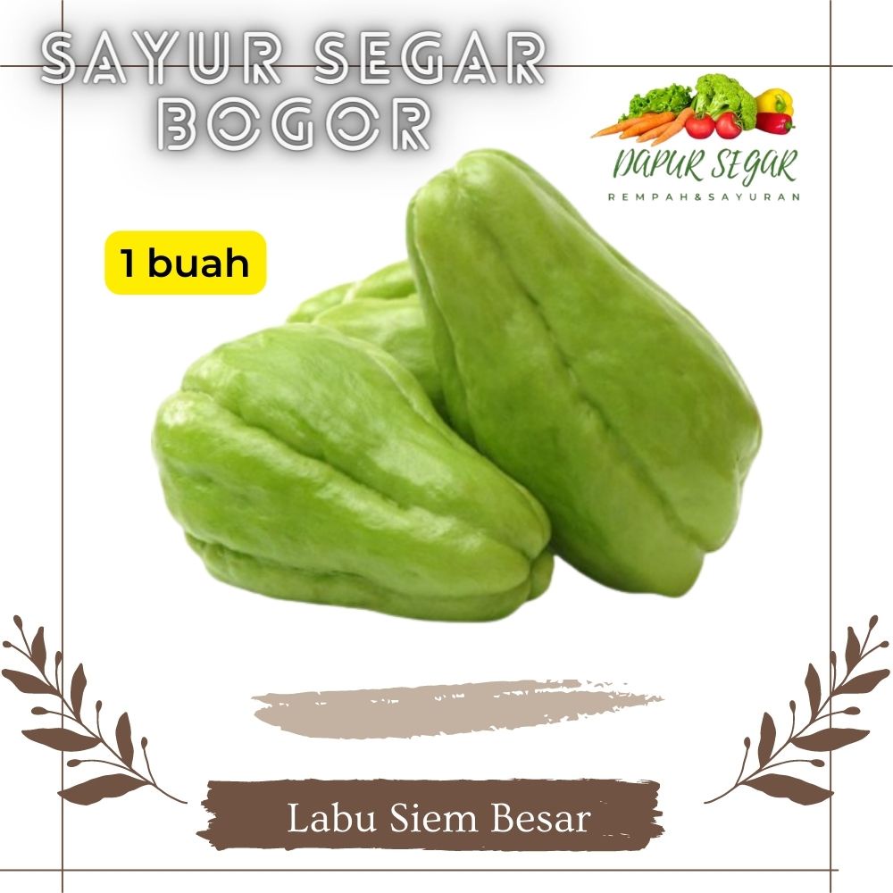 Jual Labu Siam Siem Hijau Segar Manisa 1bh Sayur Sayuran Segar Bogor ...