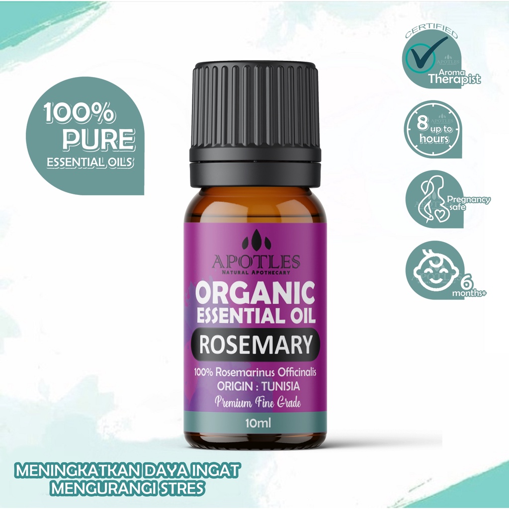 Jual Rosemary Essential Oil - Minyak Aromaterapi Rosemari Essential Oil ...