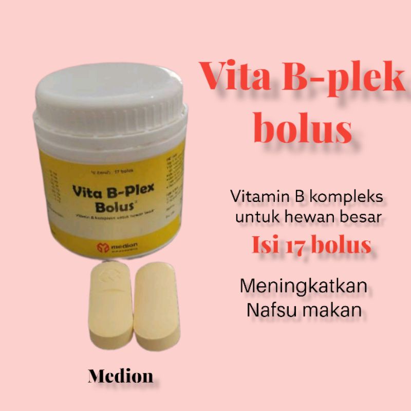 Jual Vita B-plek Bolus-vitamin B Kompleks Isi 17 Bolus Hewan Besar ...