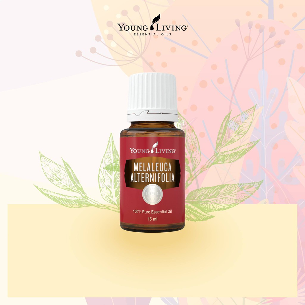 Jual Tea Tree Melaleuca Alternifolia YL Essential Oil 15 ML
