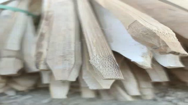 Jual Bambu Bilah Ajir Turus Penyanggah Kebun Tiang Tanaman Rambat Sudah ...