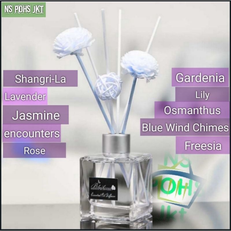 Jual Reed Diffuser Aromatherapy Pengharum Ruangan Merek Josmine ...
