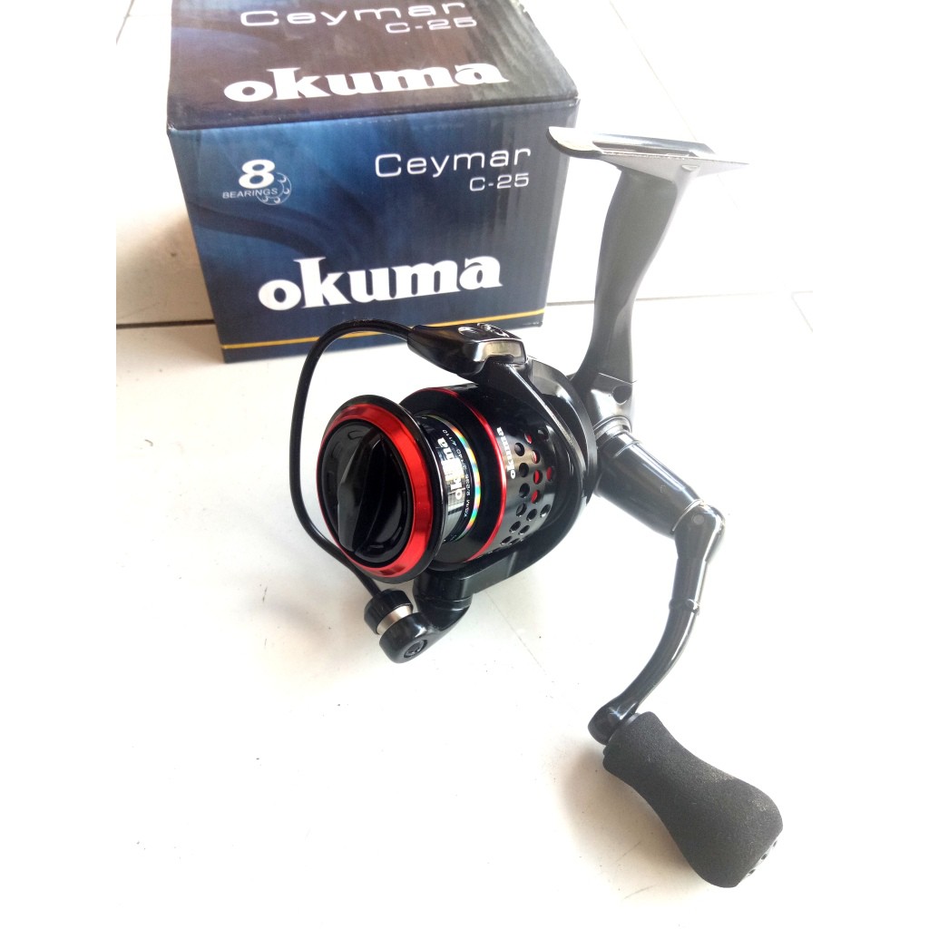 best saltwater spinning reel for the price TOP 5 Best Saltwater Spinning Reels in 2025