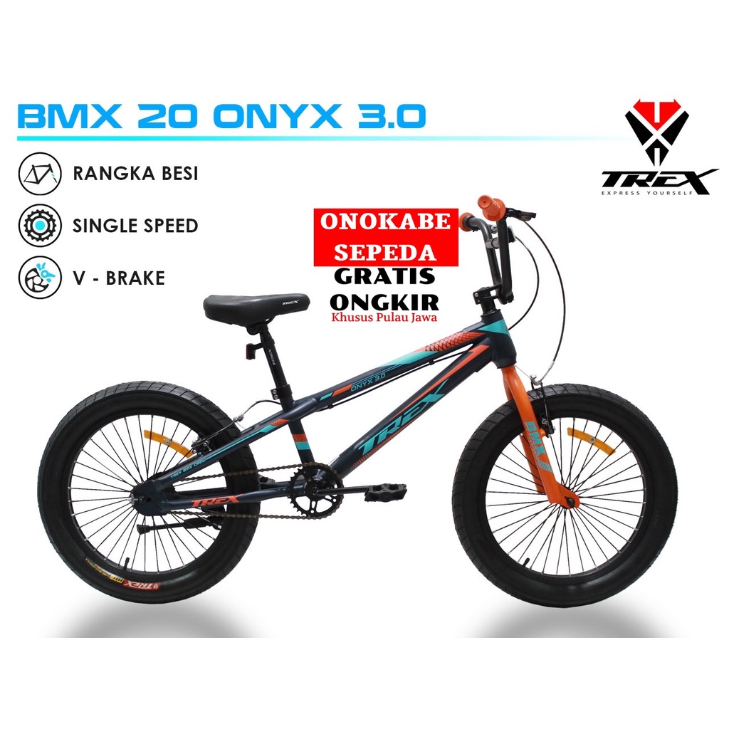 Trex bmx online