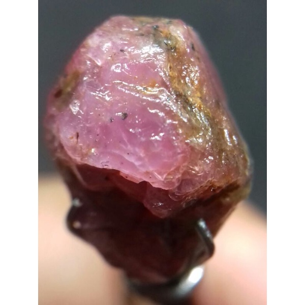 Jual NATURAL RUBY 10crt | Shopee Indonesia