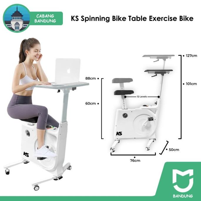 Jual KS Spinning Bike Table Exercise Bike Alt Kingsmith Spinning Yesoul ...