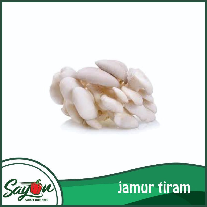 Jual Jamur Tiram , Jamur Putih , Jamur Sayur Sayon Jogja Shopee Indonesia