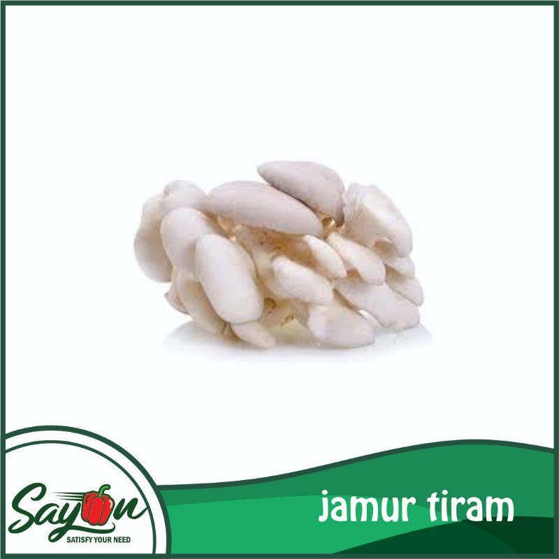 Jual Jamur Tiram Jamur Putih Jamur Sayur Sayon Jogja Shopee