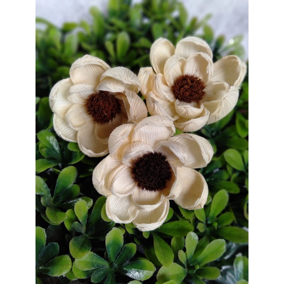 Jual TERMURAH!!! bunga kering buket bunga kering bunga mawar daun ...