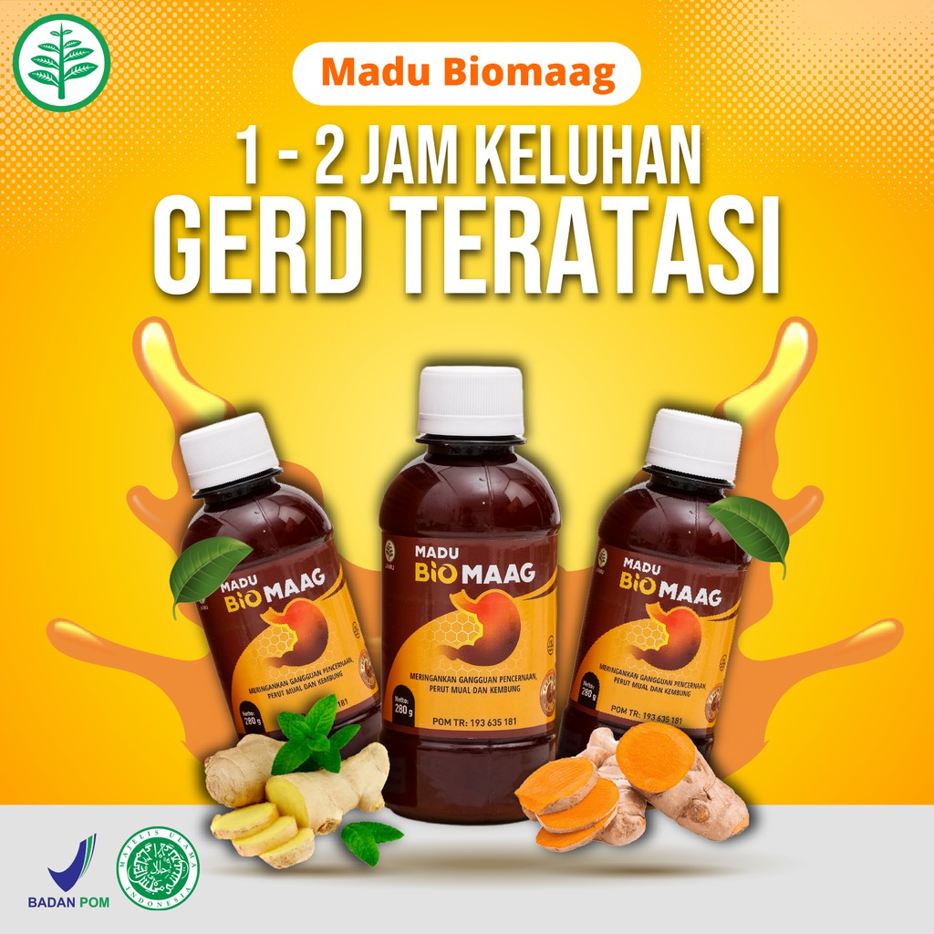 Jual Madu Biomaag Obat Herbal Maag Kronis Asam Lambung Tinggi Gerd