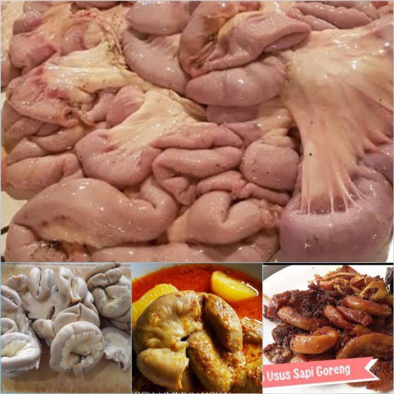 Jual Usus Sapi Rebus Super 500 gr Fresh Halal | Shopee Indonesia