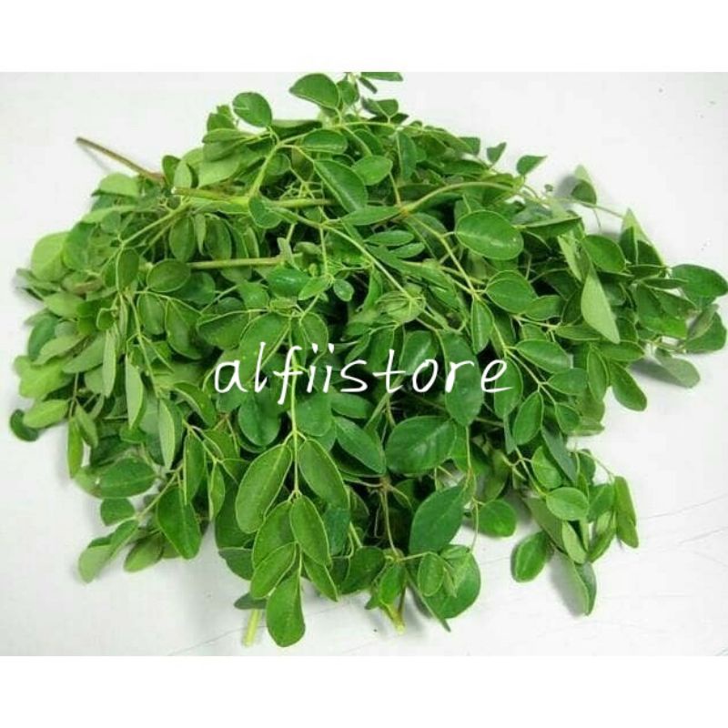 Jual Sayur Daun Kelor Segar 250gr Shopee Indonesia 9564