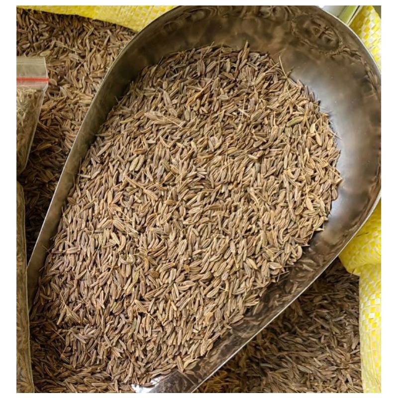Jual Jinten Utuh / Jintan Utuh / Cumin / Caraway Seed Fresh Dan bersih ...